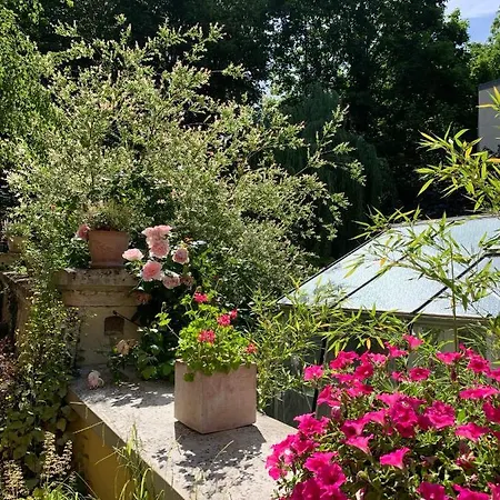 Et Bien-être Ahimsa Maison d'hôtes *