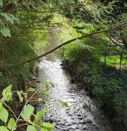 Et Bien-etre Ahimsa Verrières-le-Buisson